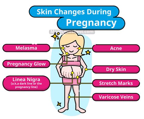 Skin Changes During Pregnancy Ways Your Skin Can Change