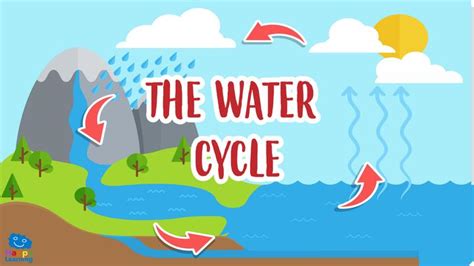 Educational Video The Water Cycle For Kids Happy Learning
