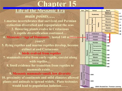 Chapter 15 Mesozoic Life