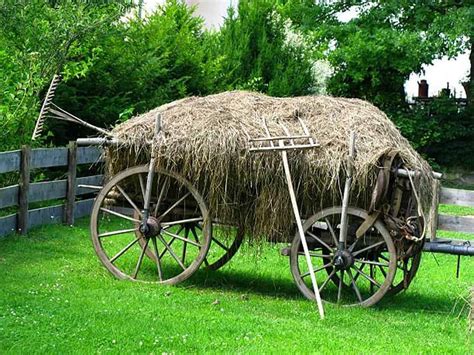 Antique Farm Wagon Value Identification And Price Guides