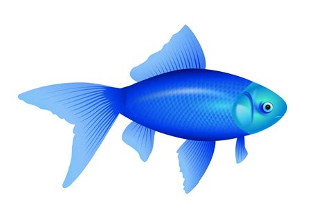 Blue Cartoon Fish #4239079, 1969x1307 | All For Desktop png image