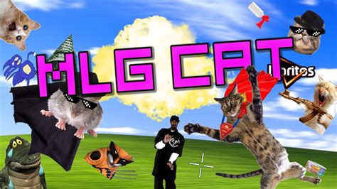 Mlg Cats Youtube