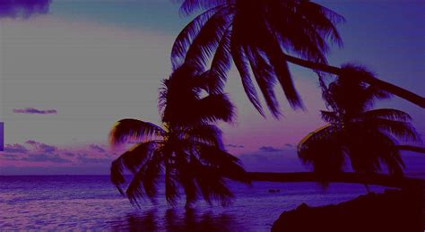 Aesthetic Chill Vibes Wallpapers Top Free Aesthetic