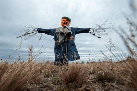 Premium Photo A Scary Scarecrow With A Halloween Pumpkin Head In A