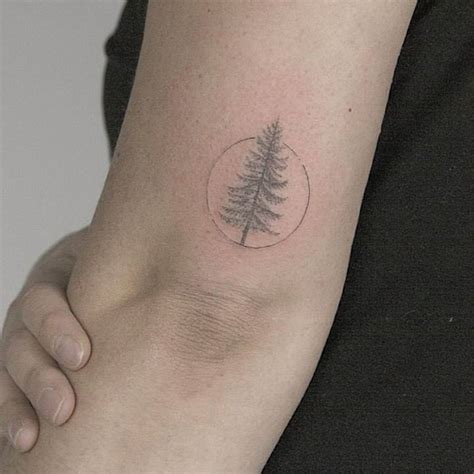Single Needle Pine Tree For Erin A Little Swelly On