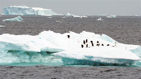 Südpol Umfang Des Meereises In Der Antarktis So Gering Wie Nie Zeit