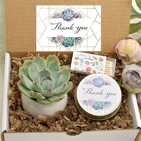 This gift box includes four live 2 succulent plants with basic care instructions and tied with a bright red bow! Thank you gift box #naturalsucculents #gift #giftbox # ...