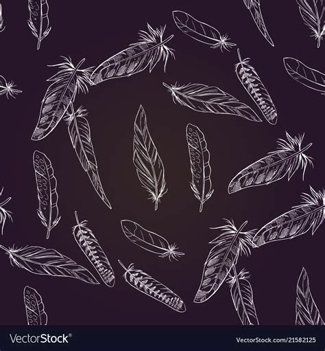 Contour Detailed Feathers On A Deep Dark Vector Image