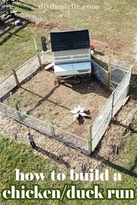 Here are several diy plans for a. DIY Duck Run: How to Build a Predator Proof Space for your ...