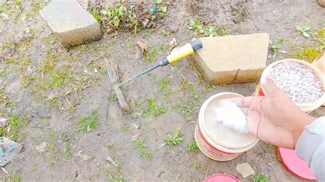 This is a fertilizer made with equal parts nitrogen, phosphorous, and potassium. Best Fruit Tree Fertilizer - YouTube