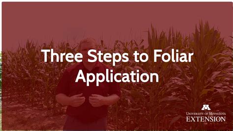 Your Guide To Foliar Nutrient Applications Youtube