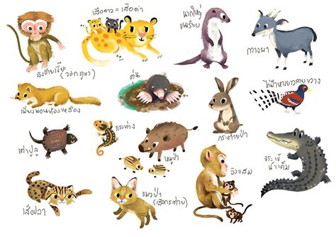 Animals In Thailand