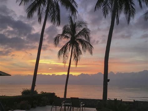 Tropical Sunrise Seascape With Palm Trees Thailand Stock Photo Image