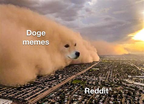 So Many Doge Memes Rmemes