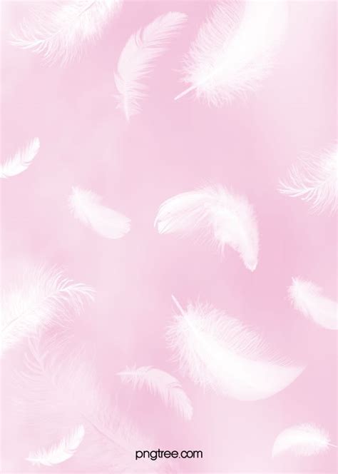 Romantic Pink Feather Background Feather Background Romantic