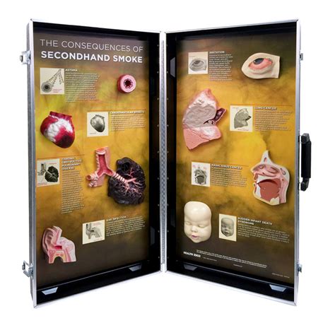 Secondhand Smoke Consequences 3 D Display Health Edco