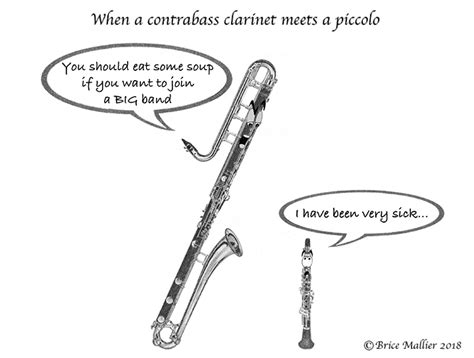 Clarinet And Bass Clarinet