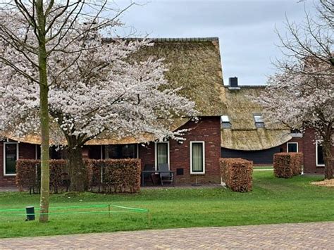 hof van saksen specialty resort reviews nooitgedacht the netherlands