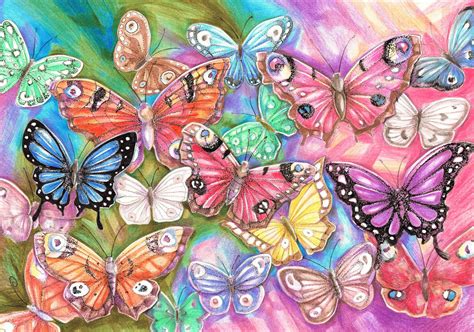 Colorful Butterflies By Dawndelver On Deviantart Butterfly Art