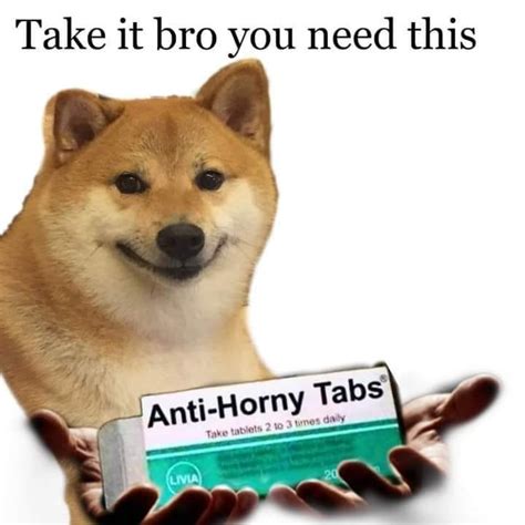 Anti Horny Tabs Ironic Doge Memes Know Your Meme