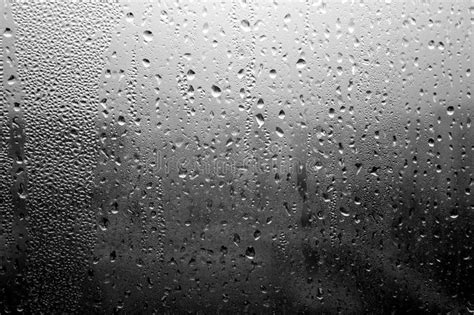 Rain Drops On Window Close Up In Black And White Stock