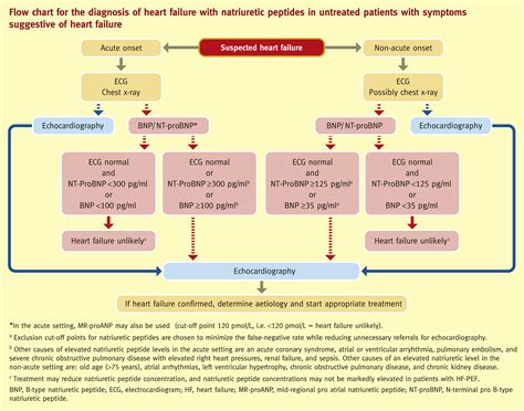 Chronic Heart Failure Epidemiology Investigation And Management