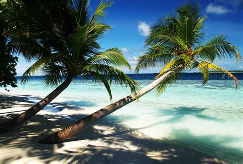 5k Wallpaper Hotel Ocean Paradise Bungalow Travel Palms Maldives Holidays Beach Island