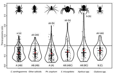 Prey Spider Prey Thorax Vs Spider Prosoma Size Ratios Jittered For