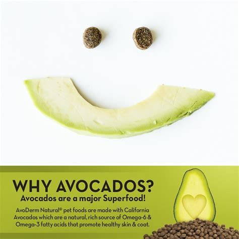 Free shipping on all orders over $49! AvoDerm: Avocados For Healthy Coat and Skin - Daily Dog ...