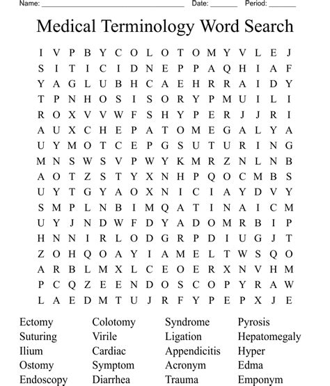 Medical Terminology Word Search WordMint