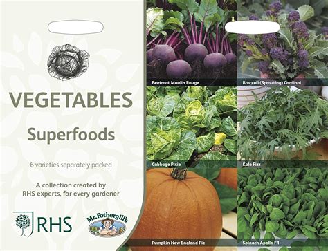 Mr Fothergills Rhs Superfood Vegetables Collection Seeds Uk Garden