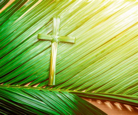 Palm Sunday St Josephs Parish