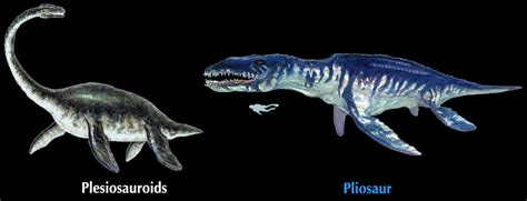 Pliosaur Plesiosaurus Vengeance From The Deep Pliosaur