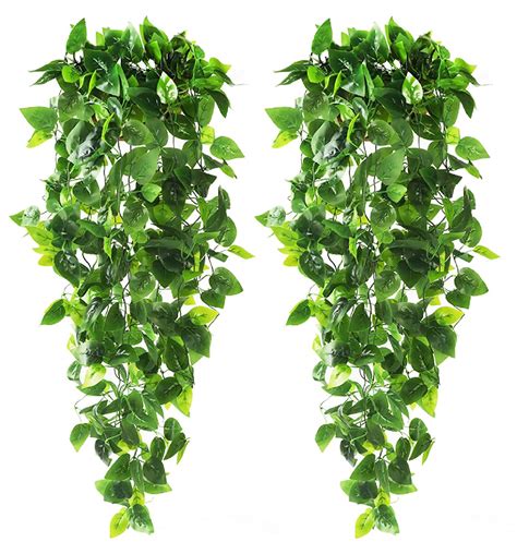 housewife Do not Immorality fake ivy for outside noun servant Semblance