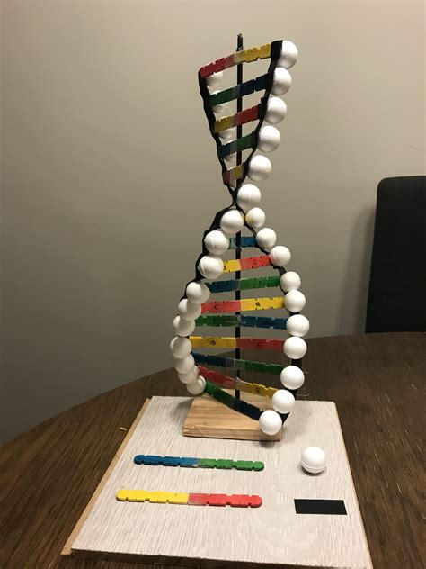DNA model drewniane patyczki taśma izolacyjna i styropianowe bombki