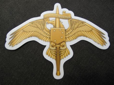 Marsoc Raider Sticker New Us Marine Corps Badge Emblem Operator Combat