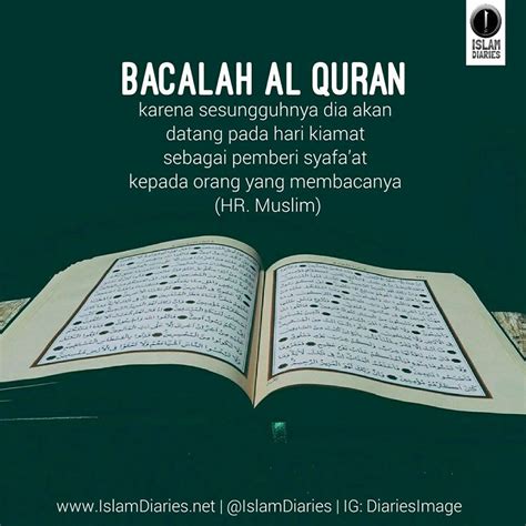 Kebaikan Membaca Al Quran Bacaanmadani Am Al Quran Ayat Dan Hot Sex Picture