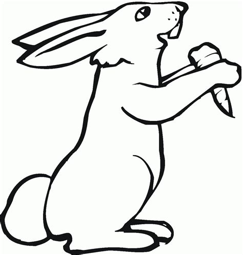 Bunny Eating Carrot Coloring Page Colouringpages