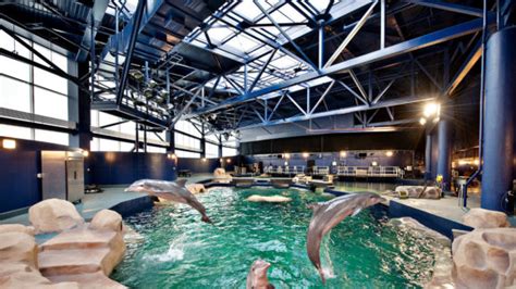 The Georgia Aquarium Including The Dolphin Expansion Sea Lion Exhibit