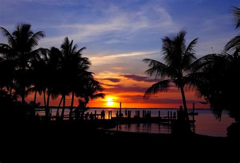 Maybe you would like to learn more about one of these? Caribbean Club (Key Largo) - 2021 All You Need to Know BEFORE You Go (with Photos) - Tripadvisor