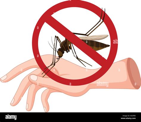 Mosquito Biting On Hand Illustration Stock Vector Image And Art Alamy