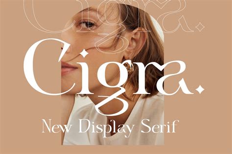 10 Stylish Modern Serif Fonts For Branding In 2021 Ave Mateiu