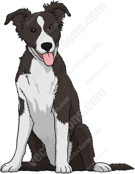 Black And White Border Collie Puppy Animal Drawings Anime Puppy