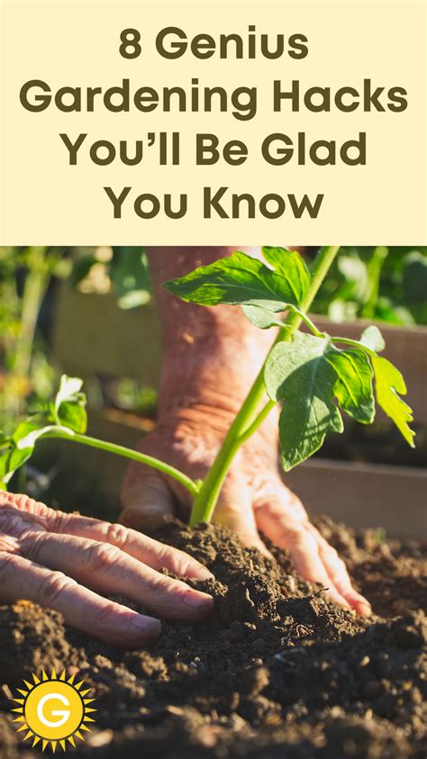 8 genius gardening hacks you ll be glad you know gardening tips organic gardening tips