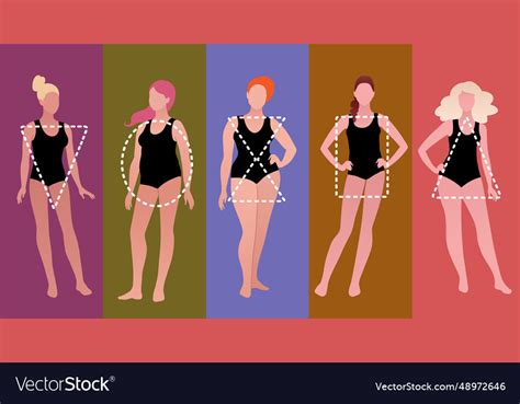 Body Positive Female Body Types Royalty Free Vector Image