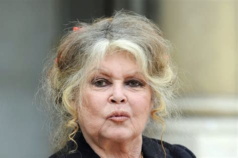 Brigitte Bardot Au Plus Mal Elle Sort Du Silence