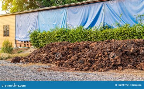 Mound Of Soil Near The Fence Of The House Stock Photo Image Of Mound