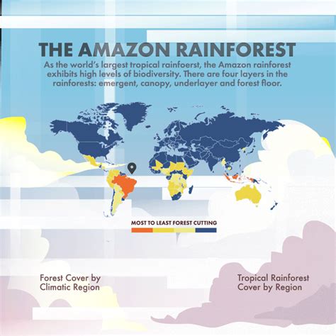 Amazon Rainforest Infographics On Behance