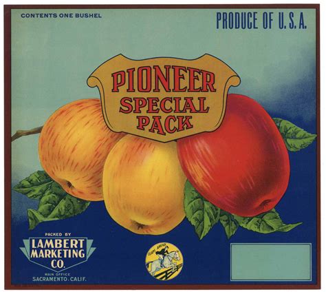 Pioneer Special Pack Brand Vintage Apple Crate Label Thelabelman