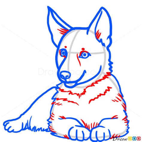 How To Draw Puppy German Shepherd Dogs And Puppies